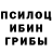 Галлюциногенные грибы Cubensis Maxutko 228