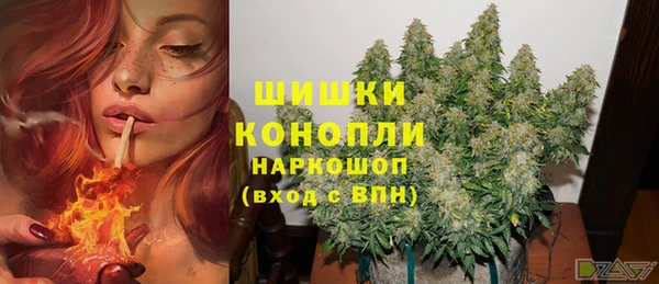 мдпв Кулебаки
