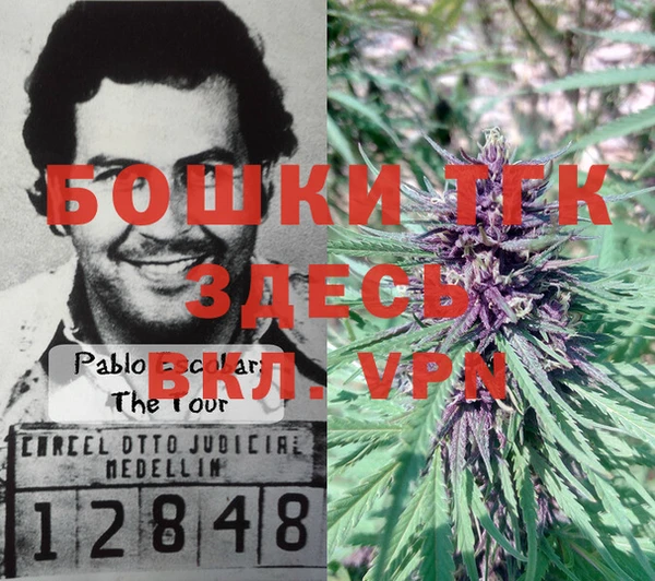 мдпв Кулебаки
