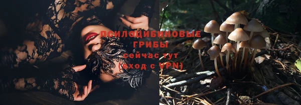 не бодяженный Куйбышев