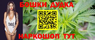 стафф Славгород