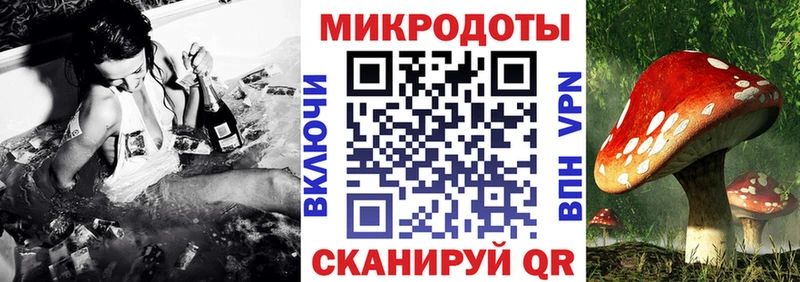 Псилоцибиновые грибы Psilocybine cubensis Спасск-Дальний