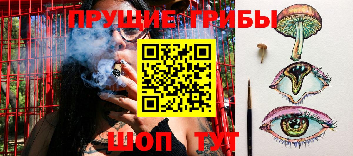 Галлюциногенные грибы Magic Shrooms  Вход с VPN  Спасск-Дальний 