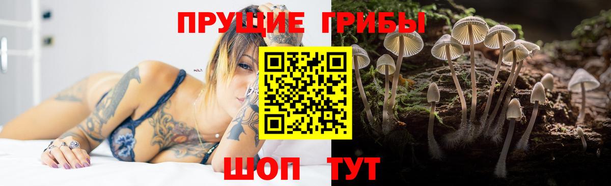 Галлюциногенные грибы GOLDEN TEACHER Спасск-Дальний